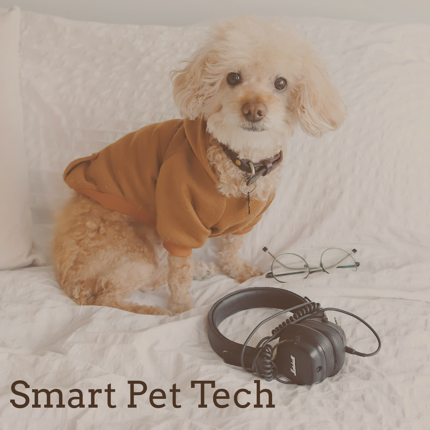 Smart Pet Tech