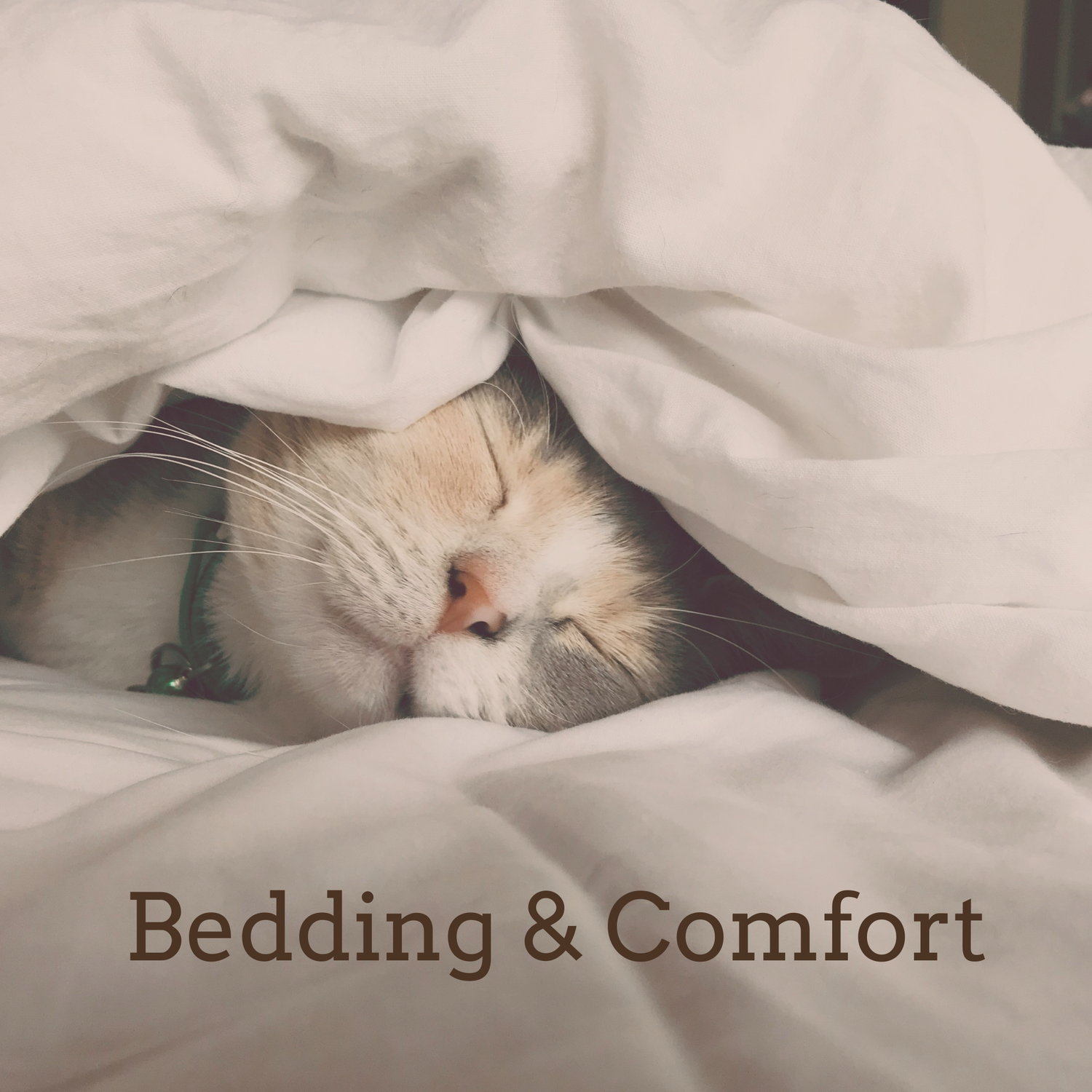 Bedding & Comfort