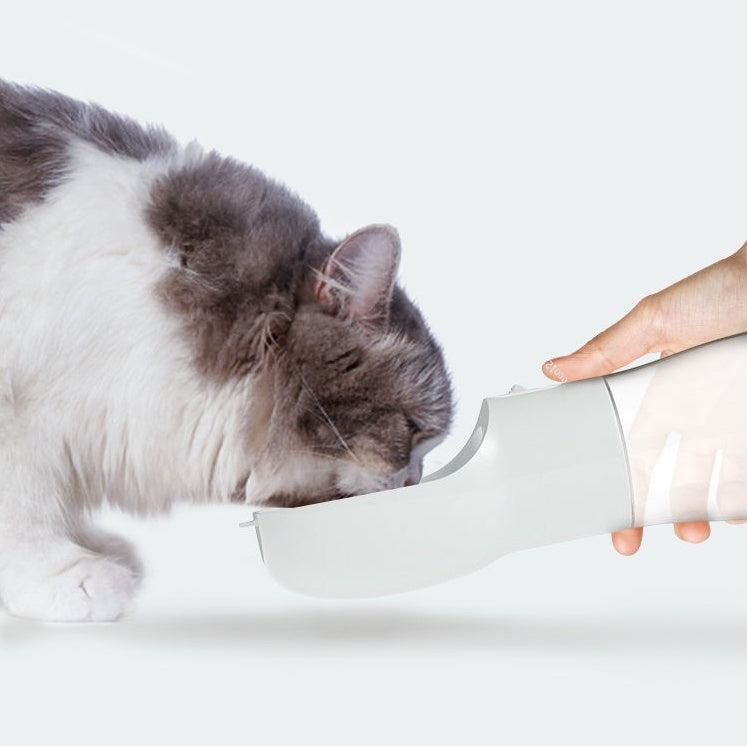 Portable Dog Water Bottle With Travel Bowl