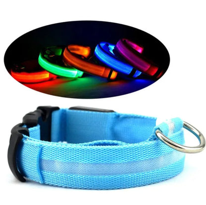 LED Safety Collar