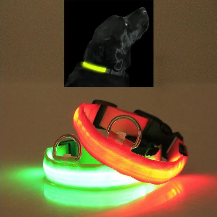 LED Safety Collar