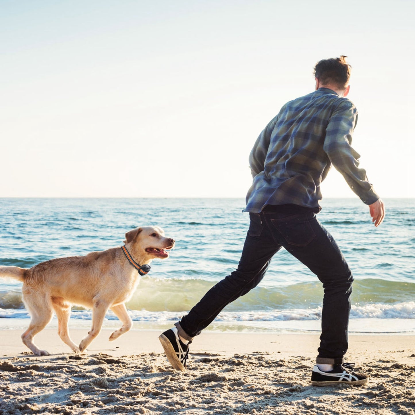 Wireless GPS Dog Fence + Tracker Collar