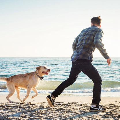 Wireless GPS Dog Fence + Tracker Collar