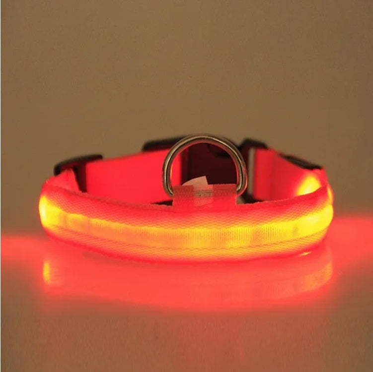 LED Safety Collar